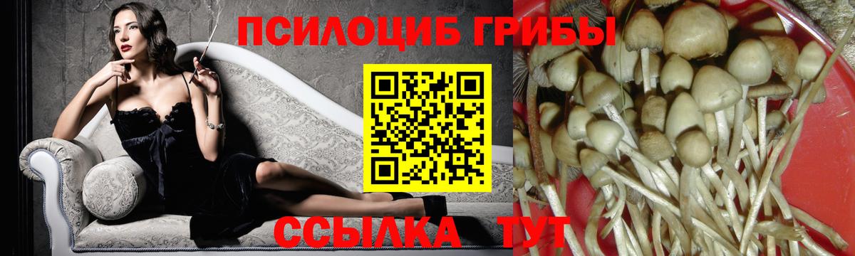 где купить наркоту  Вход с VPN  Лесосибирск  Псилоцибиновые грибы MAGIC MUSHROOMS  Галлюциногенные грибы мухоморы 